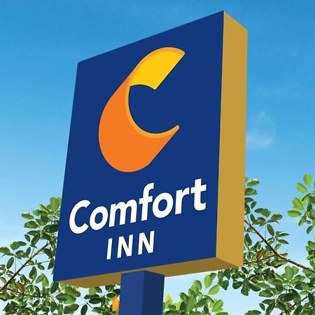 Comfort Inn Martinsville Dış mekan fotoğraf